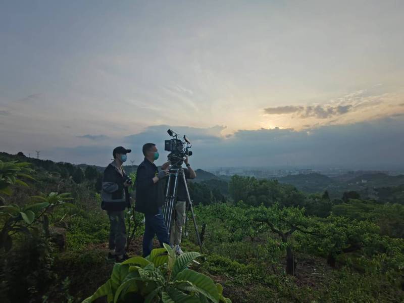 创意破圈！兰溪市电商产品宣传视频用故事化叙事引爆流量