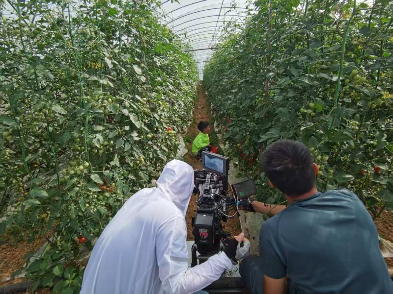 兰溪市产品宣传视频拍摄公司进阶指南，助力品牌抢占传播高地